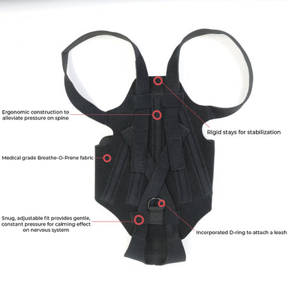 Dog Back Brace for IVDD, Arthritis & Recovery